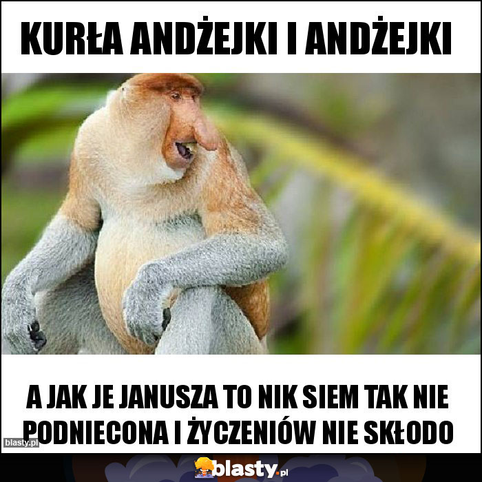 Kurła andżejki i andżejki