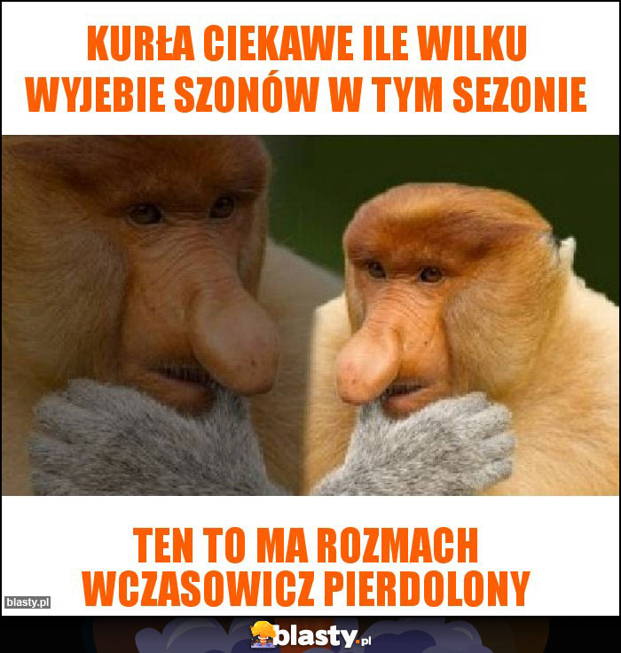 kurła ciekawe ile wilku wyjebie szonów w tym sezonie