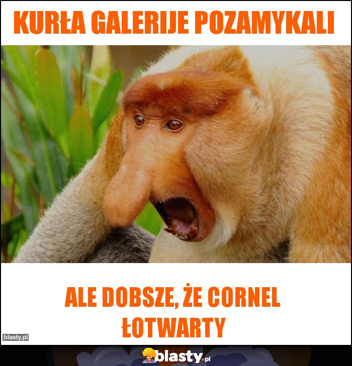 Kurła galerije pozamykali