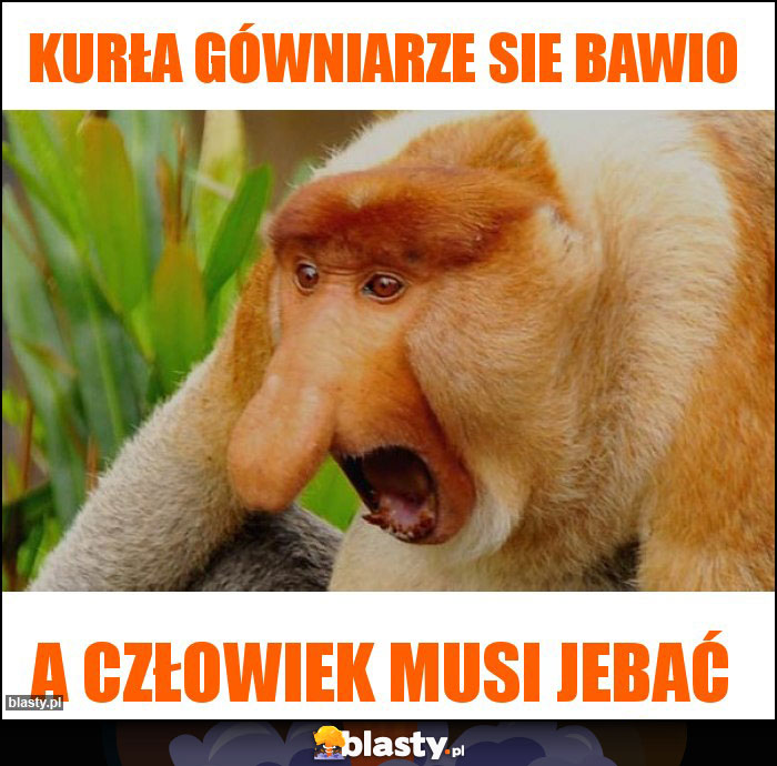 Kurła gówniarze sie bawio