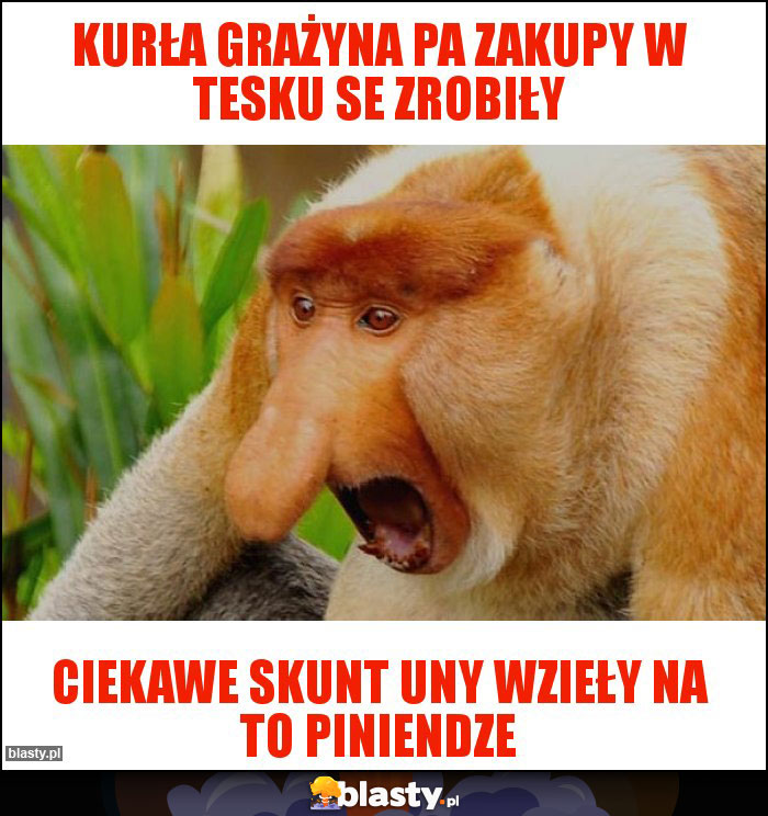 Kurła Grażyna pa zakupy w tesku se zrobiły