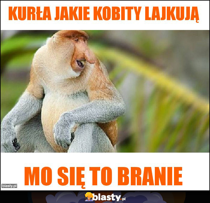 Kurła jakie kobity lajkują