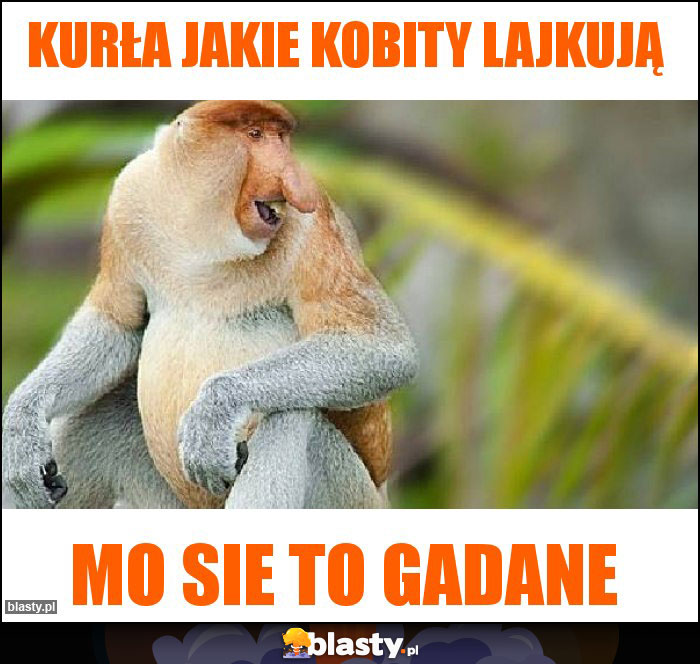 Kurła jakie kobity lajkują