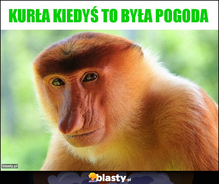 Kurła kiedyś to była pogoda