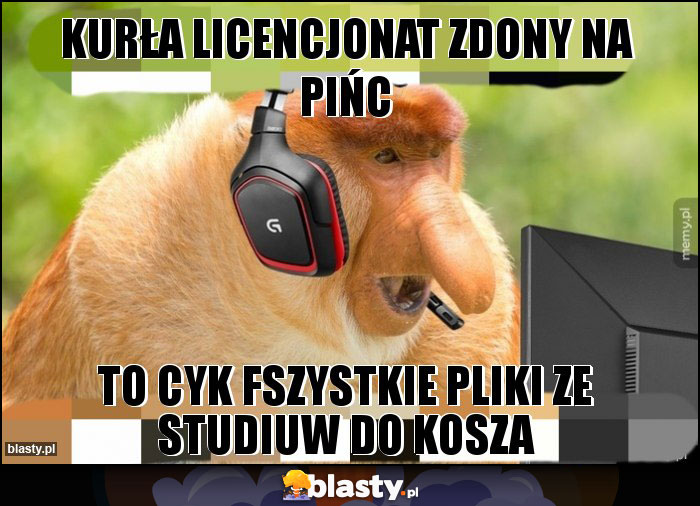 Kurła licencjonat zdony na pińc