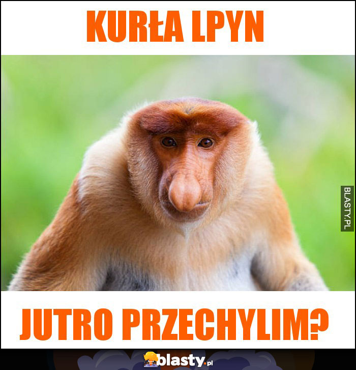 KURŁA LPYN