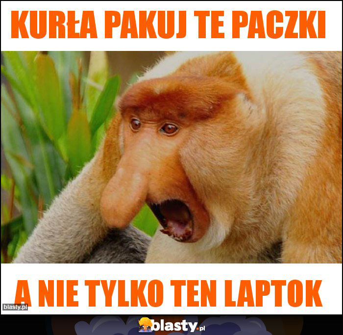 KURŁA PAKUJ TE PACZKI