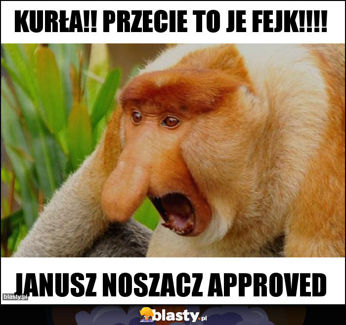 Kurła!! przecie to je fejk!!!!