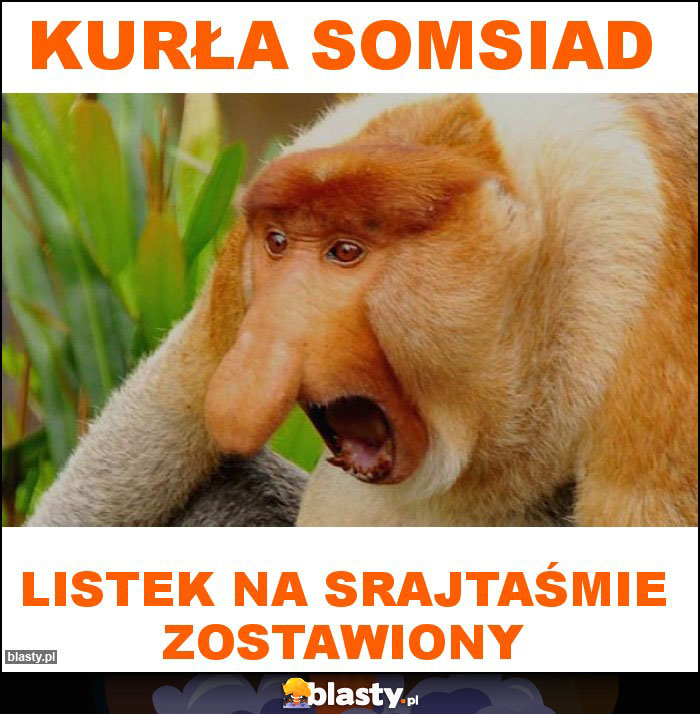 KURŁA SOMSIAD