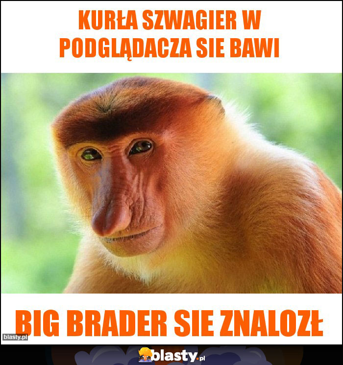 Kurła szwagier w podglądacza sie bawi