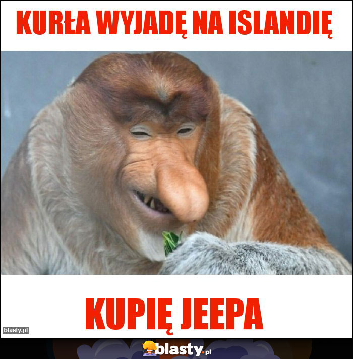 Kurła wyjadę na Islandię