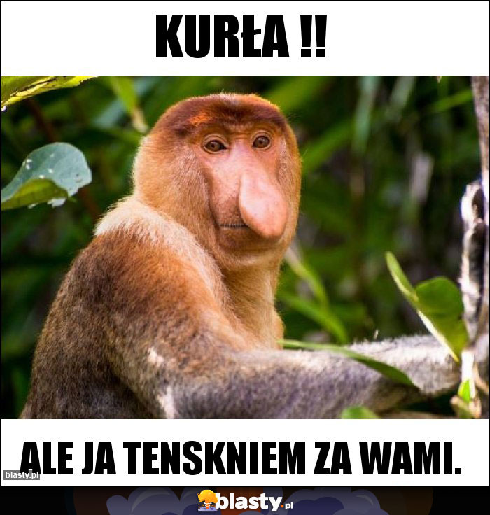 Kurła !!