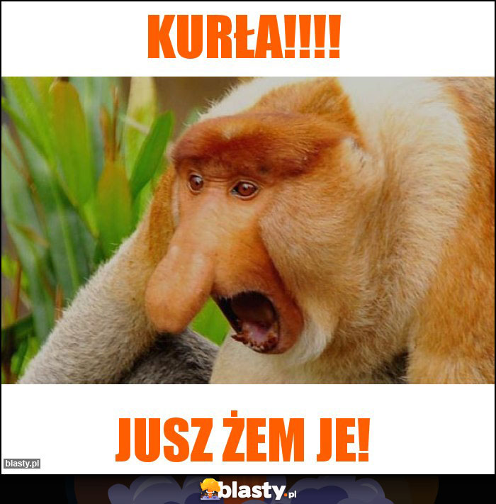 KURŁA!!!!