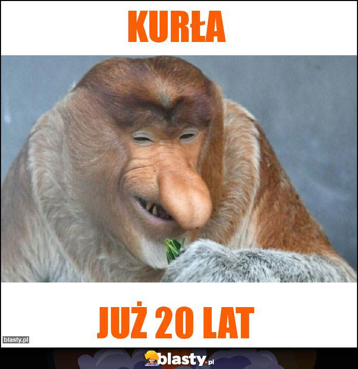 Kurła