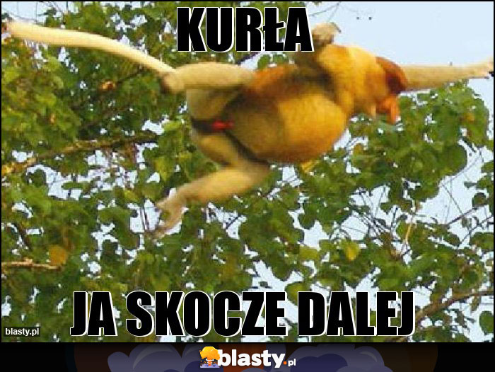 Kurła