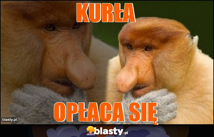 KURŁA