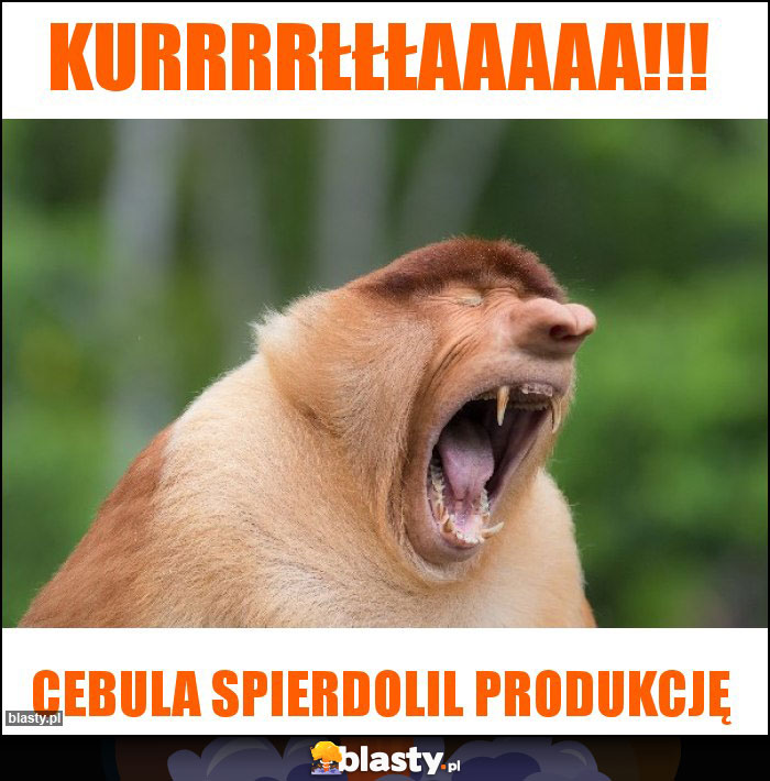 Kurrrrłłłaaaaa!!!