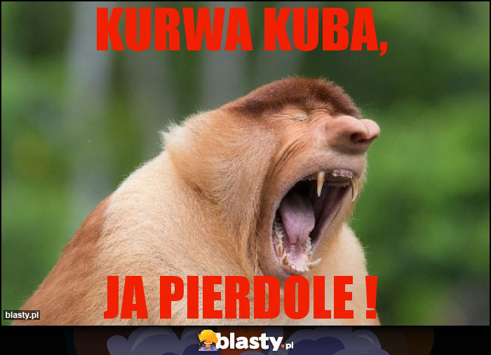 Kurwa kuba,