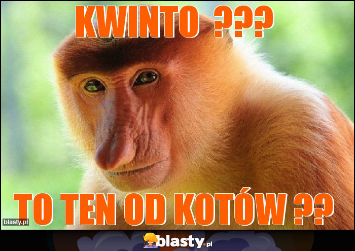 Kwinto  ???