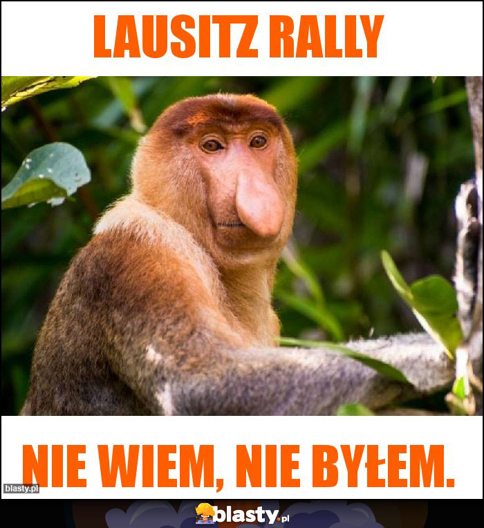 Lausitz rally