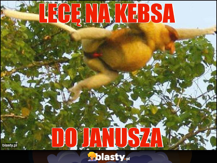 Lecę na kebsa