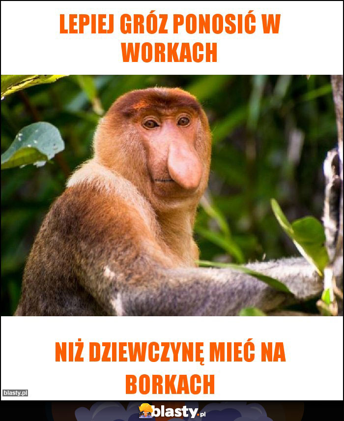 Lepiej gróz ponosić w workach