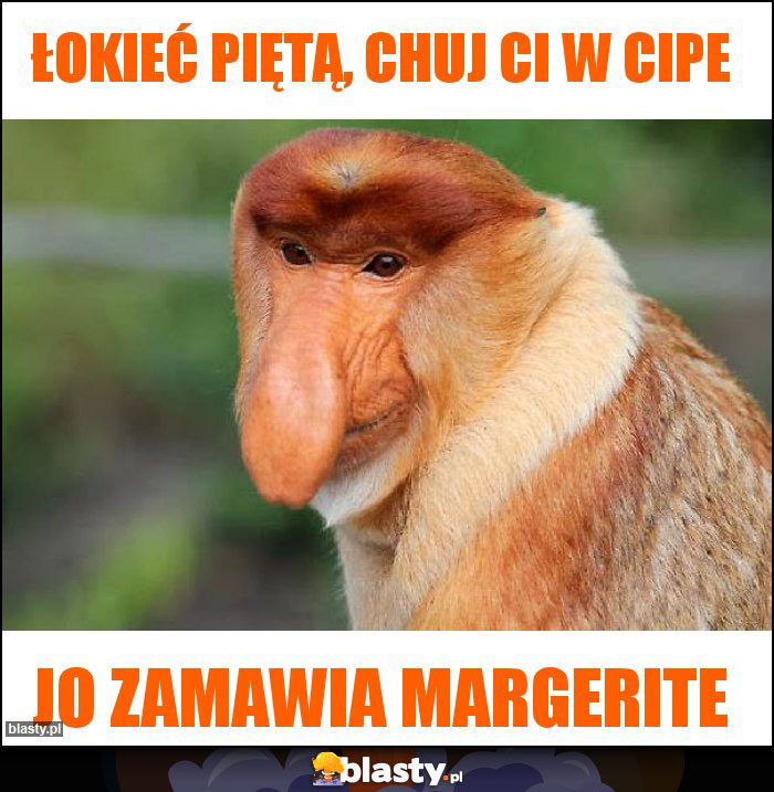 Łokieć piętą, chuj ci w cipe