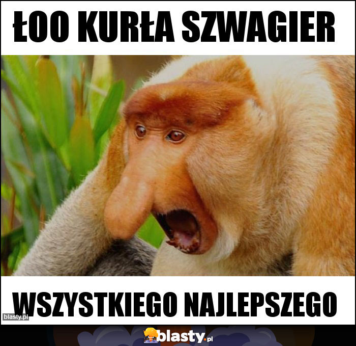 ŁOO KURŁA SZWAGIER