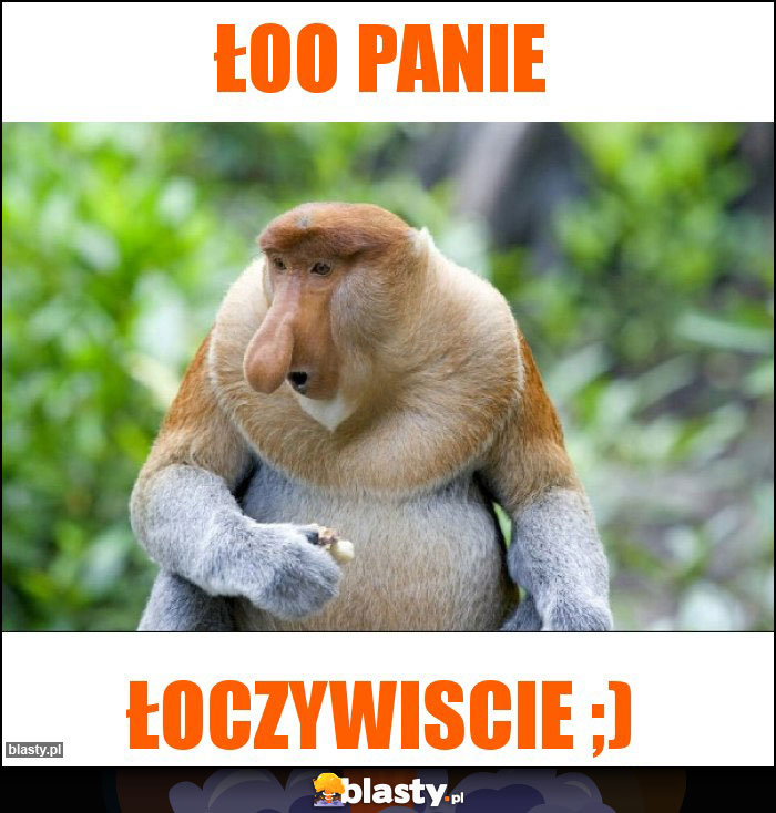 Łoo Panie