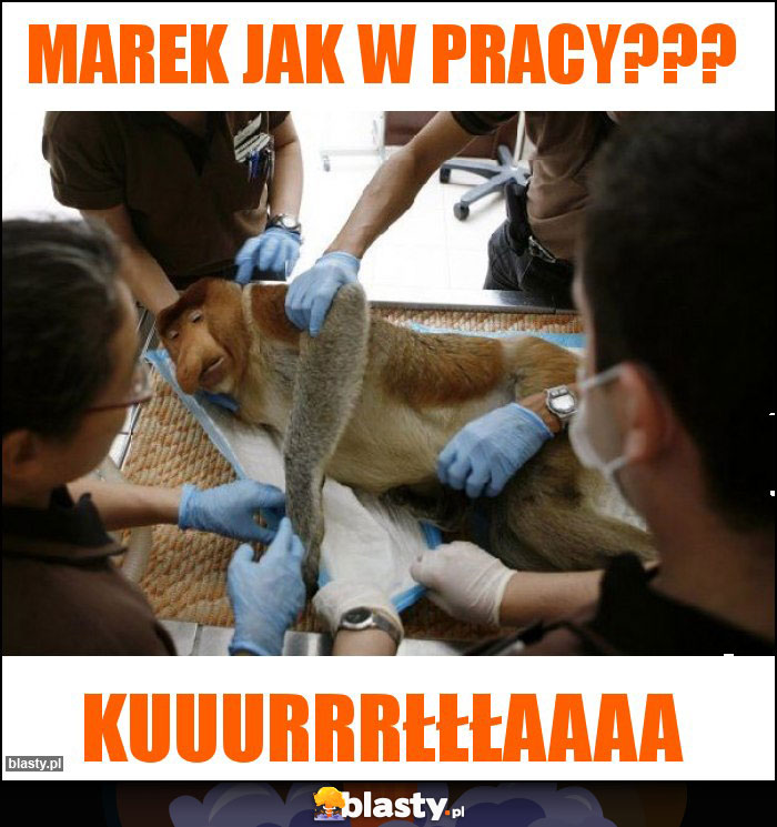 Marek jak w pracy???