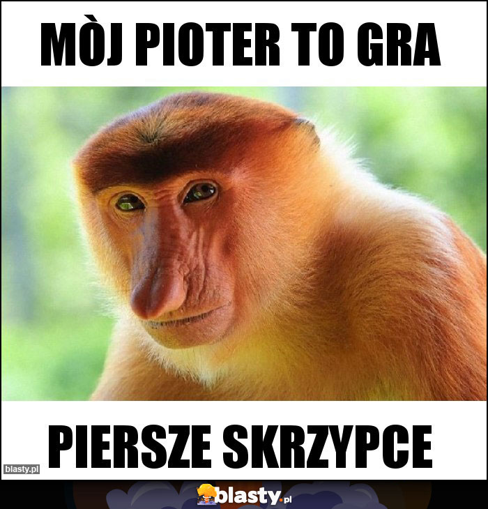 Mòj pioter to gra