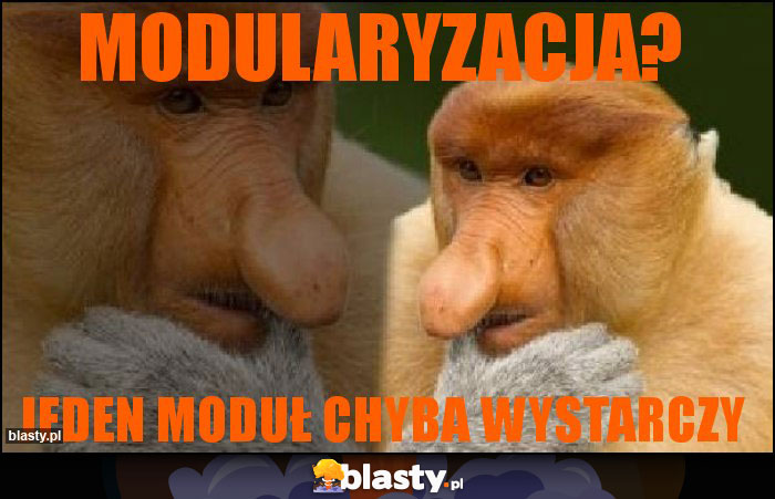 Modularyzacja?