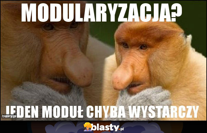 Modularyzacja?