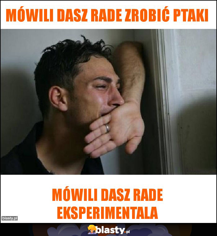 Mówili dasz rade zrobić ptaki