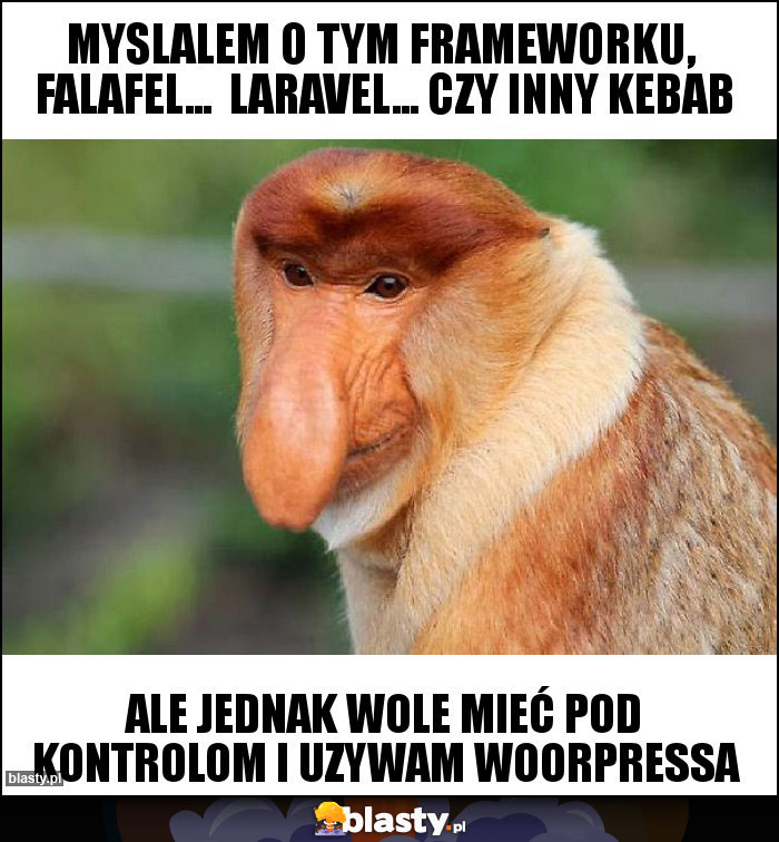 myslalem o tym frameworku,  falafel...  laravel... czy inny kebab