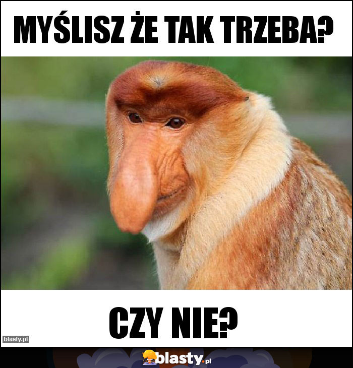 Myślisz że tak trzeba?