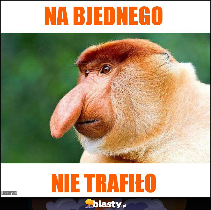 Na bjednego