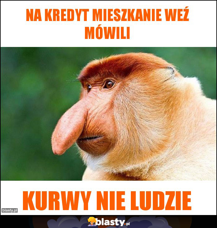 Na kredyt mieszkanie weź mówili