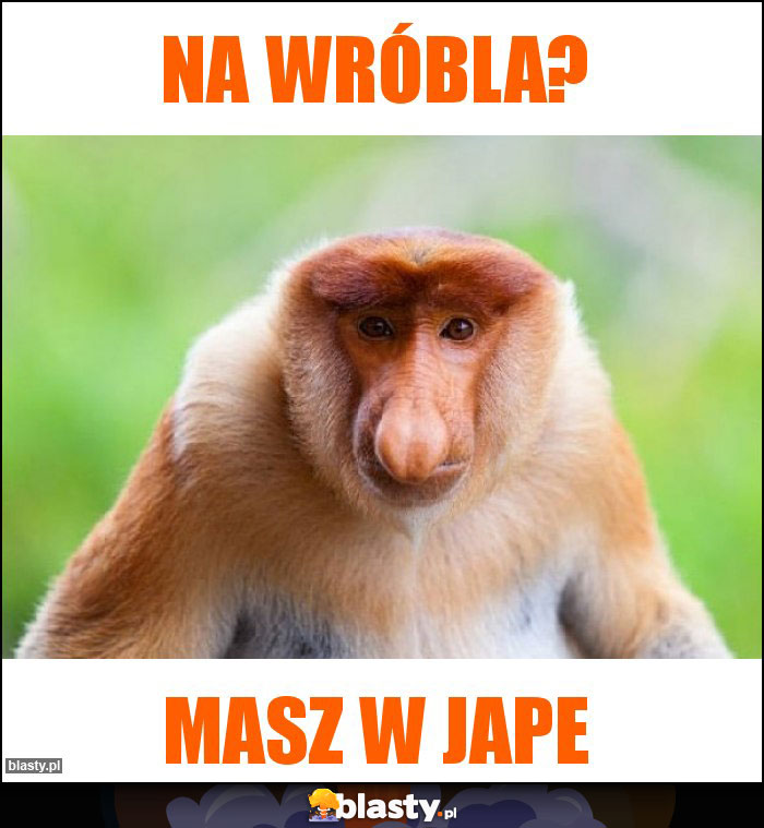 Na wróbla?