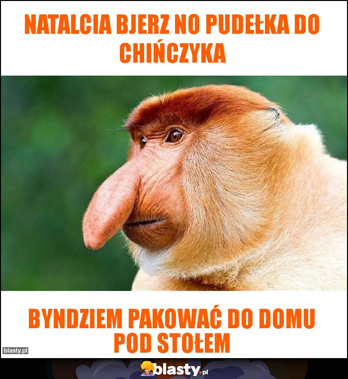 Natalcia bjerz no pudełka do chińczyka