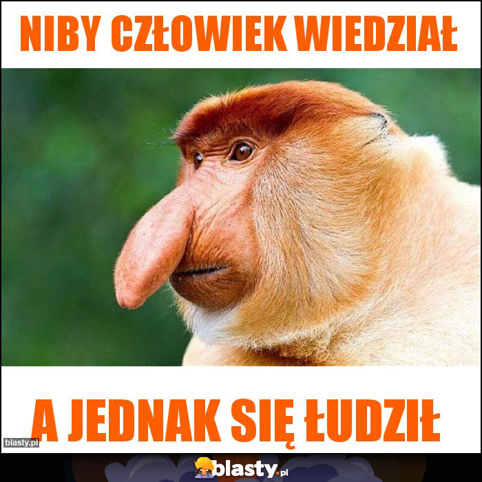 niby człowiek wiedział