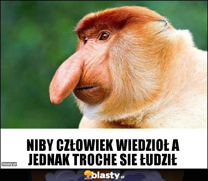 Niby człowiek wiedzioł a jednak troche sie łudził