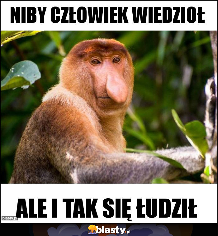 Niby człowiek wiedzioł