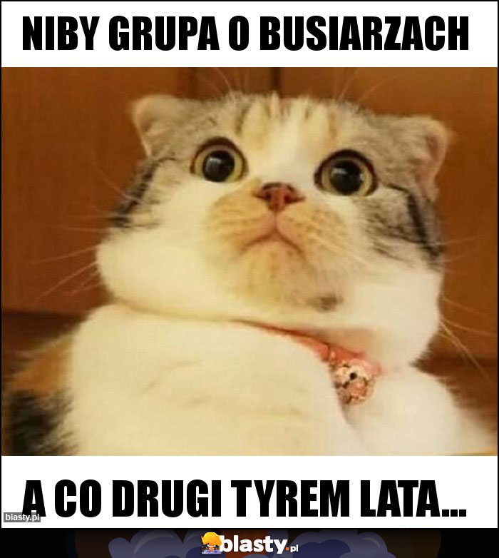 Niby grupa o busiarzach