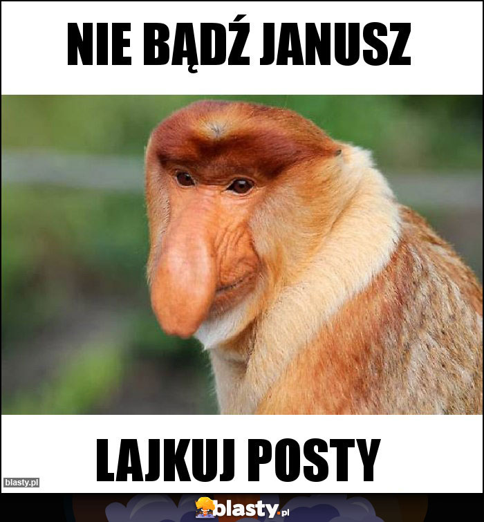 Nie bądź Janusz