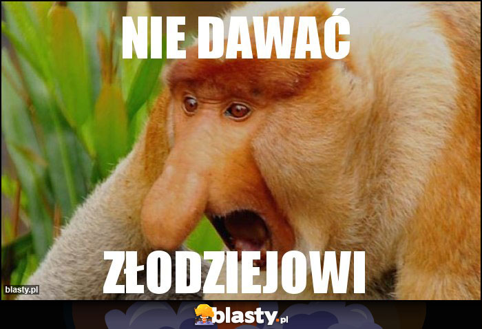 NIE DAWAĆ