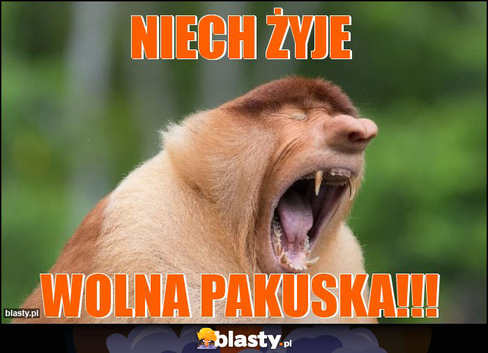 niech żyje