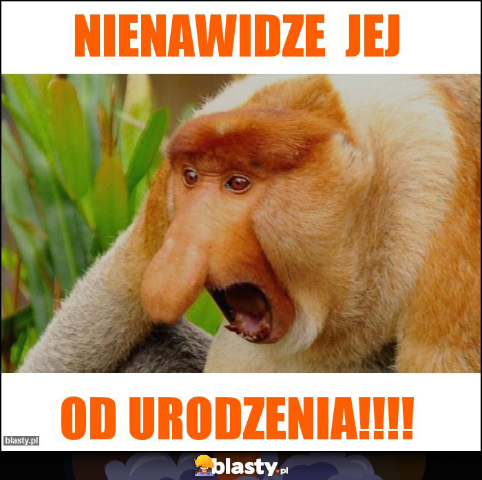 NIENAWIDZE  JEJ