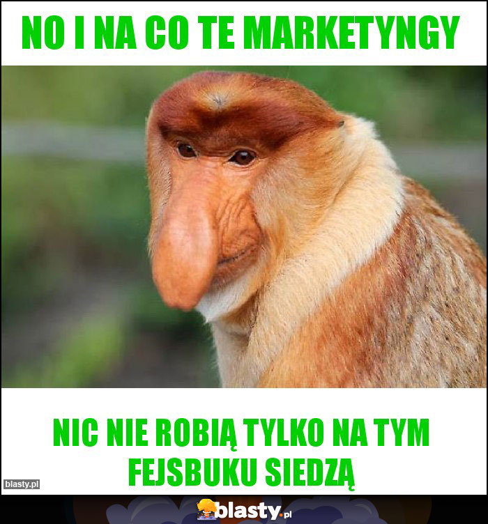 NO I NA CO TE MARKETYNGY