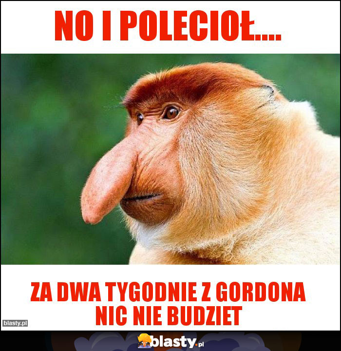 No i polecioł....